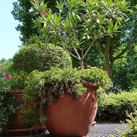 Ξενοδοχείο Central Hotel Eschborn 3*